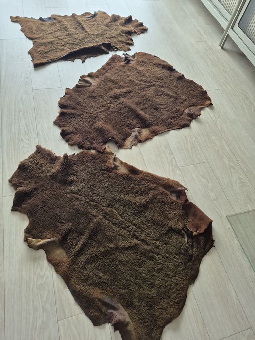 Owcze skóry barwione