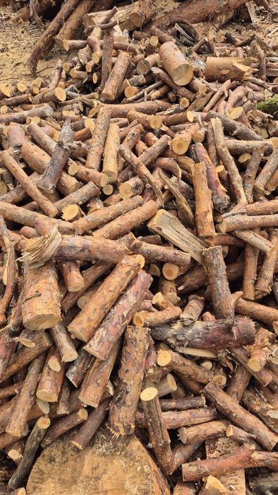 Sprzedaż Drewna opałowego.