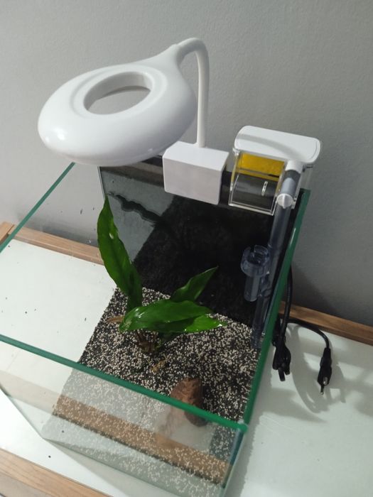 Aquário 20x20x25 novo "kit promocional""