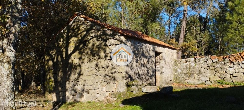 Quinta com Casa em Pedra com 5.455 m2 em Bodiosa a 10 km de Viseu