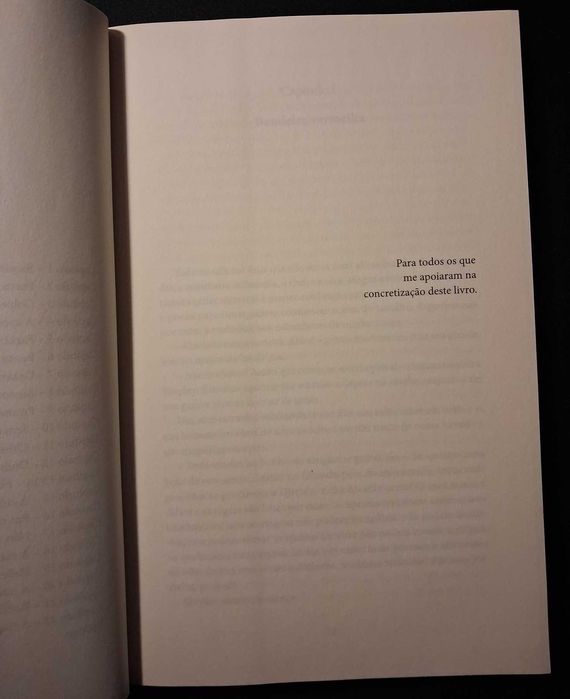 Livro "Um Desastre Maravilhoso" de Jamie McGuire