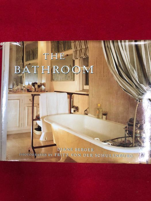 The bathroom - Diane Berger