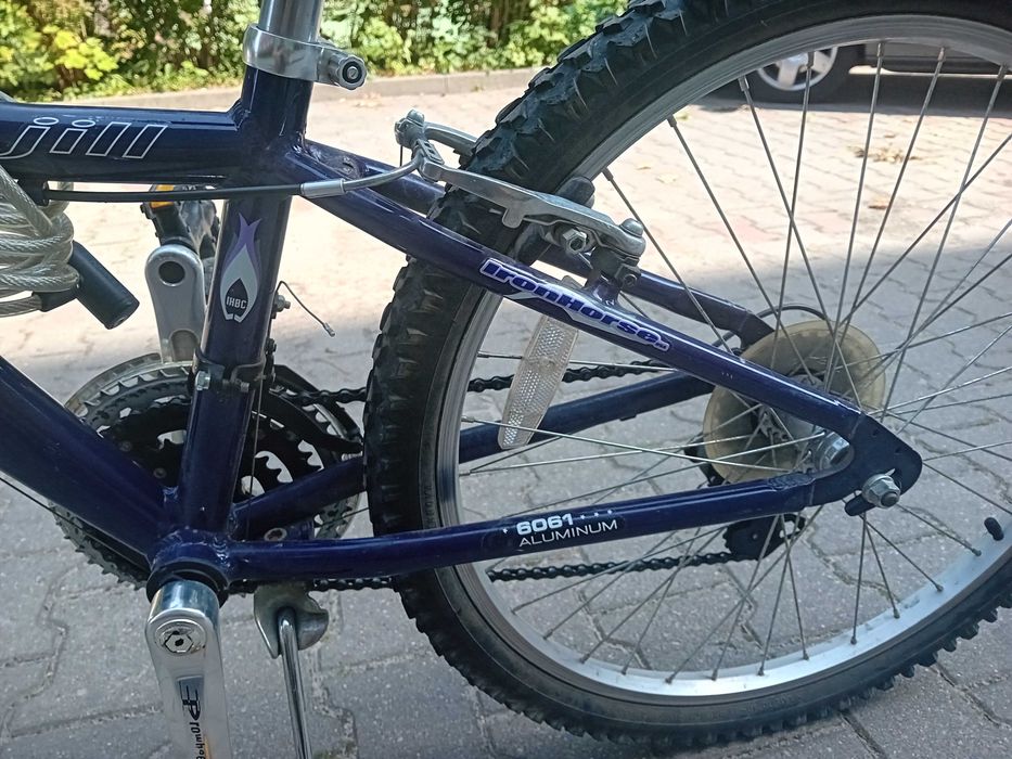 rower dla mlodego rowerzysty iron horse