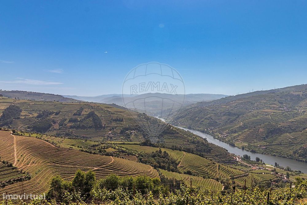 Terreno  para venda