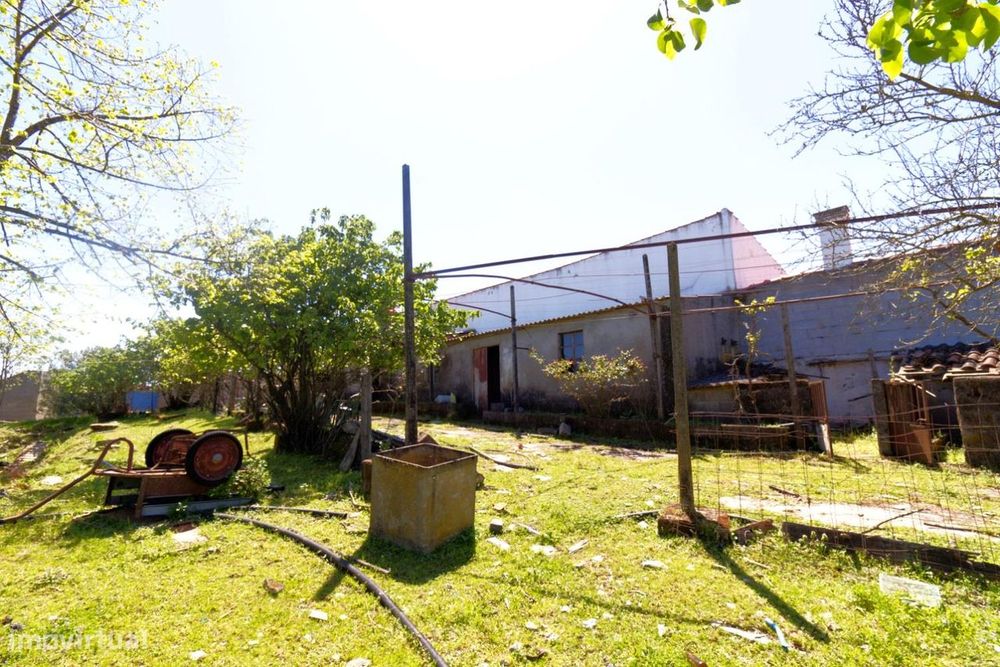 Quintinha — Castelo Branco, Castelo Branco
