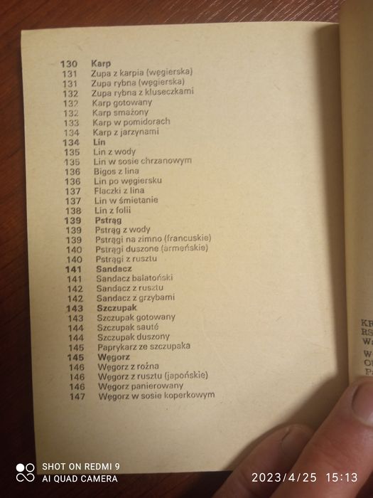 Wakacje z patelnia przepisy na wakacje