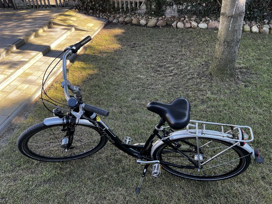 Rower Holenderski Viktoria