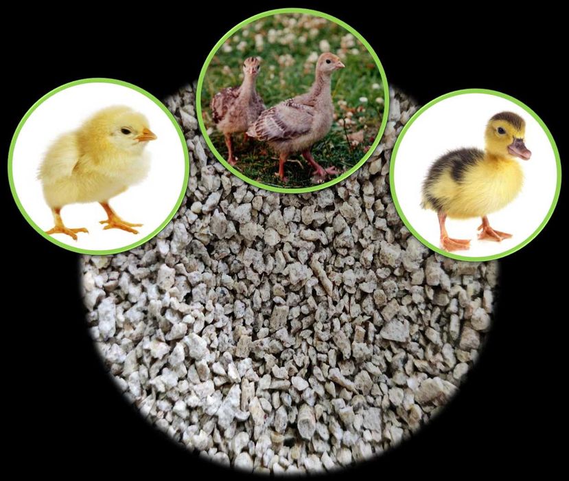 Комбікорм для с/г птахів та тварин