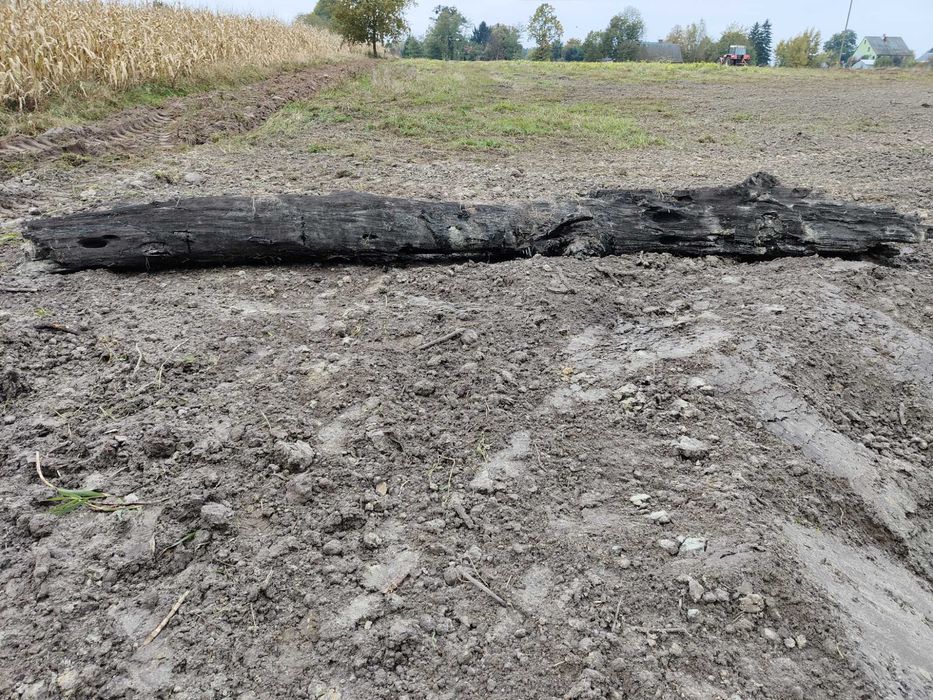 Sprzedam kłodę czarnego dębu.