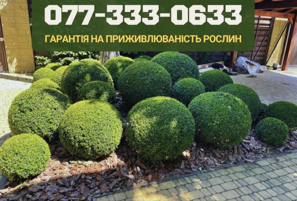 Ландшафтні роботи під ключ | Дизайн, благоустрій, земляні роботи
