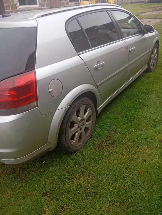 Opel signum sprzedam