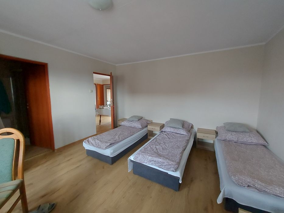 Zdjęcie 8
