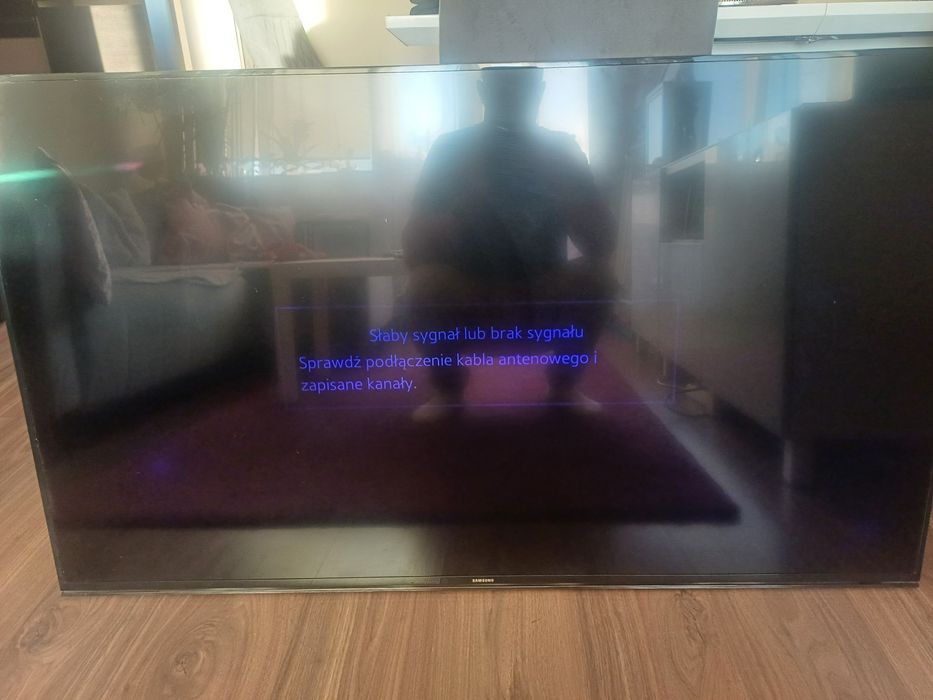 Matryca telewizora Samsung 55"