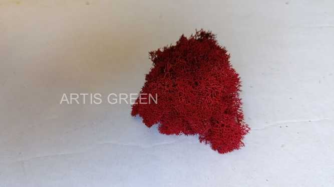 Знижка 50% Мох ягель Червоний. АКЦІЯ!Скандинавськи й мох