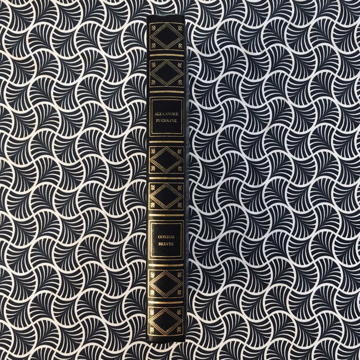 Contos Breves - Alexandre Puchkine