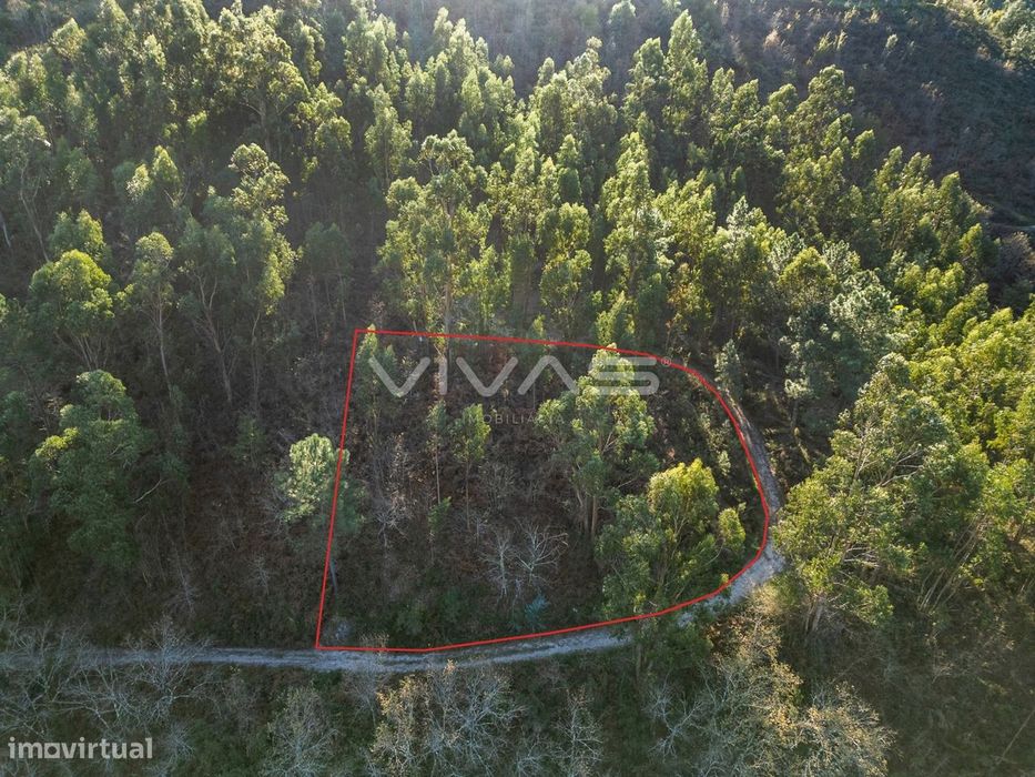 Terreno  Venda em Louredo,Vieira do Minho