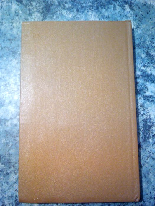 Тейн де Фрис "Рембрандт"