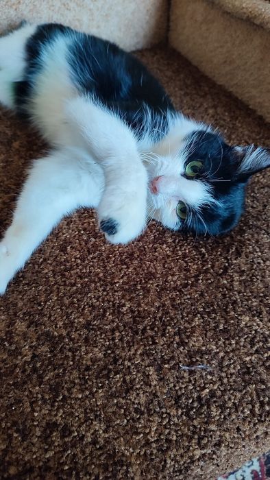 Активна весела дівчинка