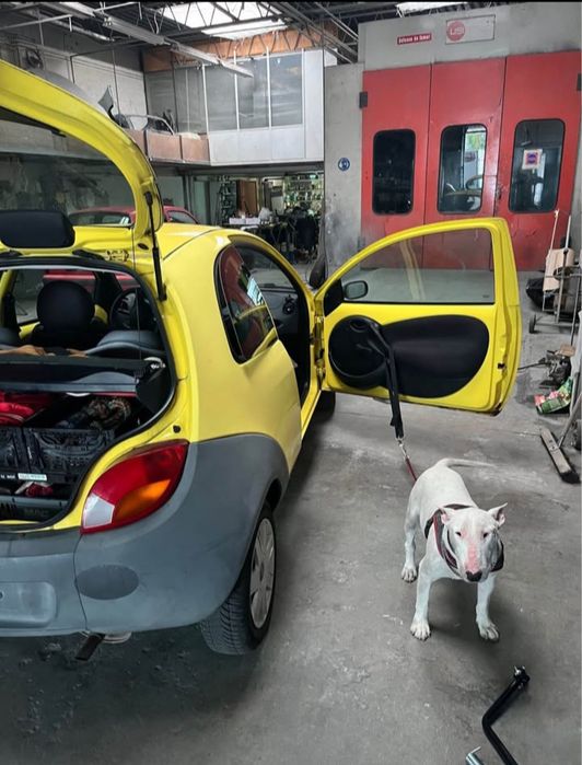 Ford escel nte estado
