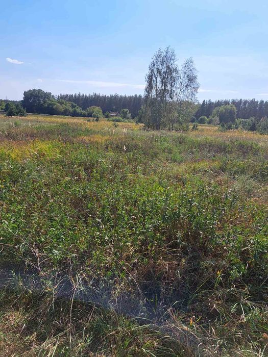 Продається земельна ділянка в мальовничому місці