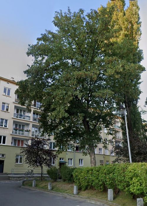 BEZPOŚREDNIO: 2 pokoje, Al. Racławickie 22 | Centrum | Miasteczko Akademickie - Więcej