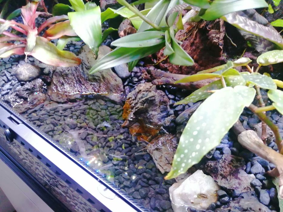 Terrário Exo Terra 90 x 60 x 45 cm