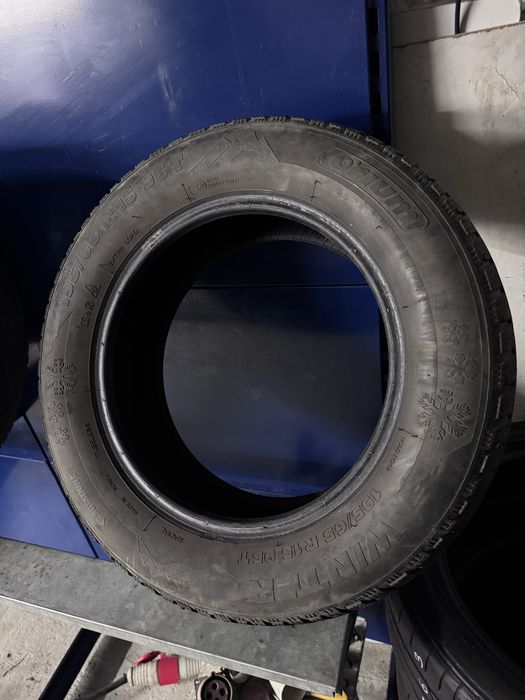 Orium Kormoran Taurus Tigar Winter Belshina 195/65r15 зимова