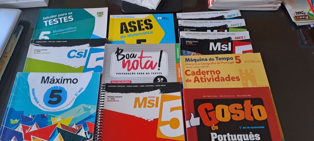 Cadernos de atividades 5.o ano