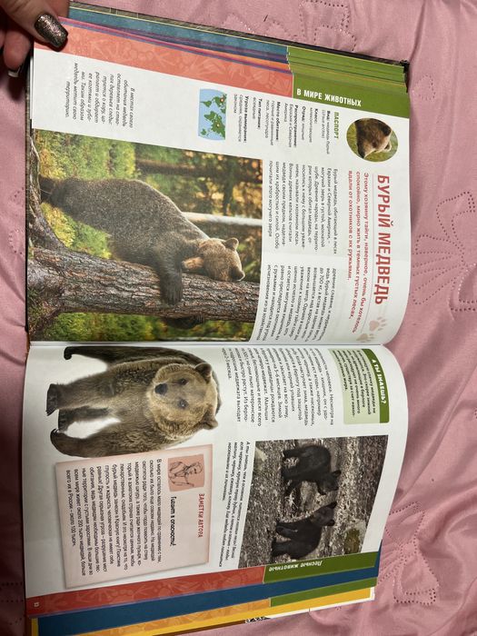 Книжка про тварин на російській мові