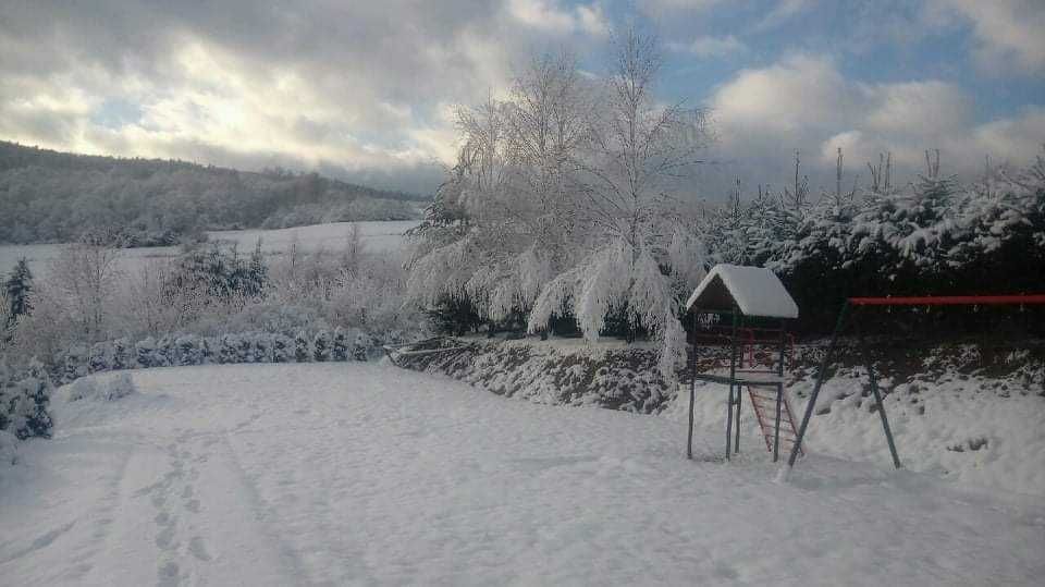 Domek w Bieszczadach