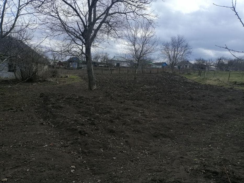 Земельна ділянка