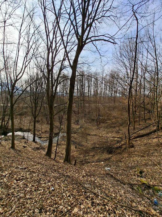 Продається земельна ділянка в с. Бедевля