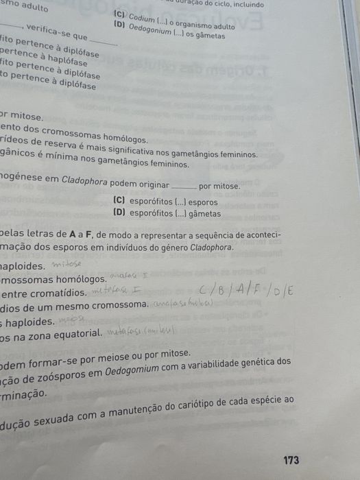 livro de preparação para exame BG biologia e geologia