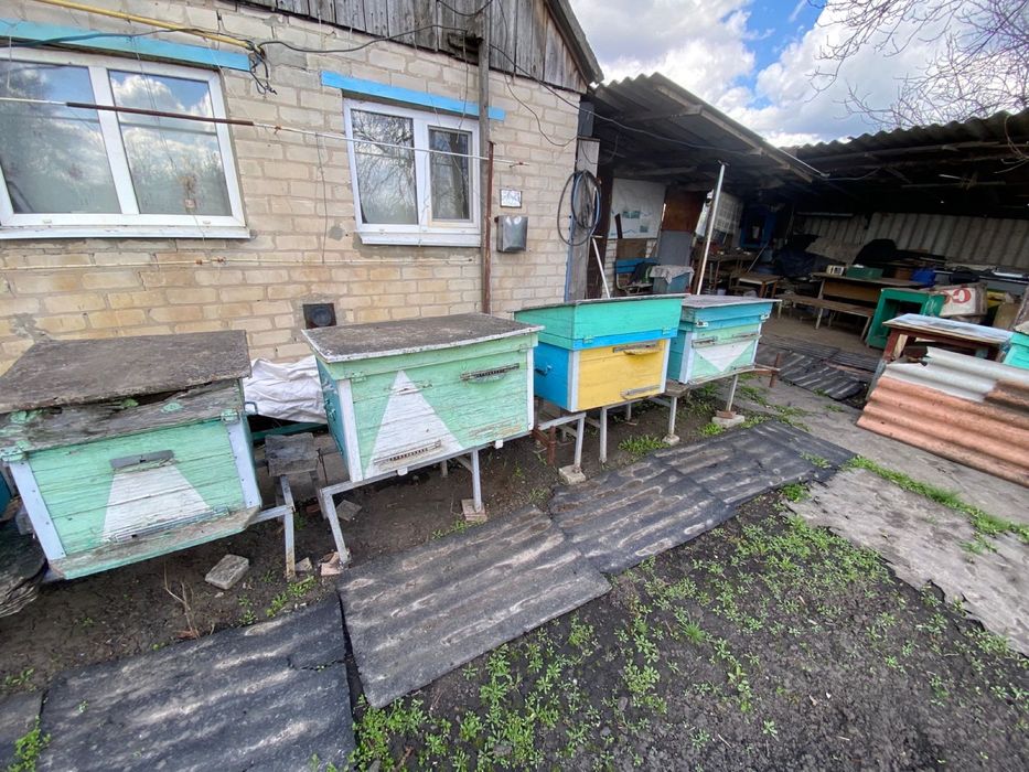 Продам вуліки 13