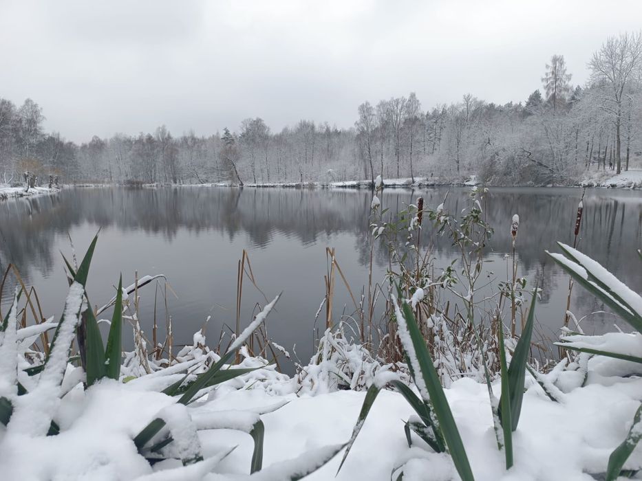 Choinka sztuczna duża sosna