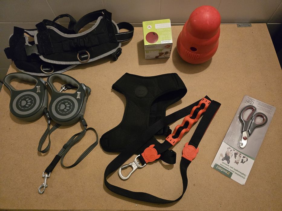 Acessórios e comida para cão