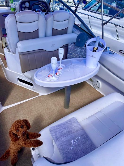 Jacht motorowy Four Winns Vista 258 nie sea ray regal cobalt sea doo