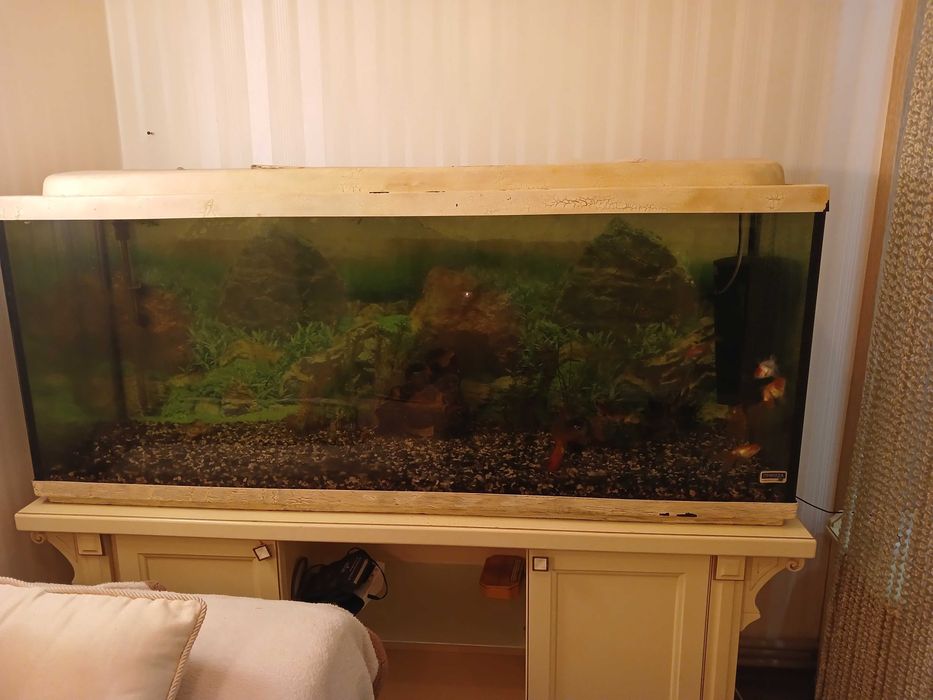 Акваріум 450л. Е очістна система. Без тумби.