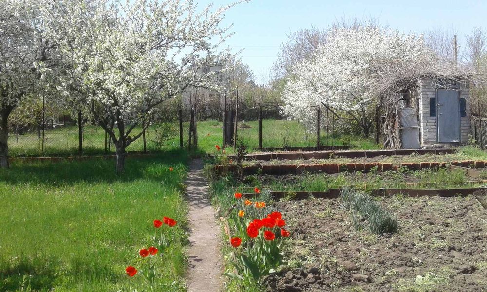 Дача роен Наталівки можливий обмін на авто