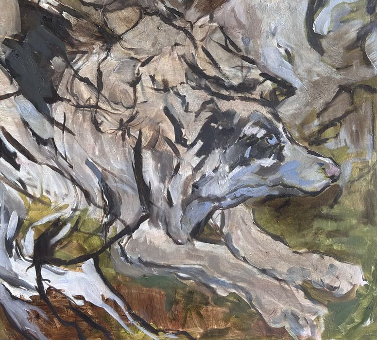 Obraz olejny na płótnie, olej na płótnie "Kłęby psów" 110x110