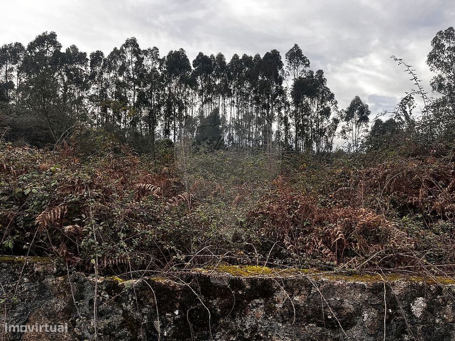 Terreno  para venda