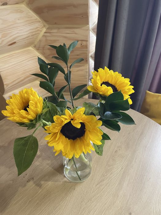 Відпочинок в Яремче, Карпати, номер. Вілла «Розмарія»