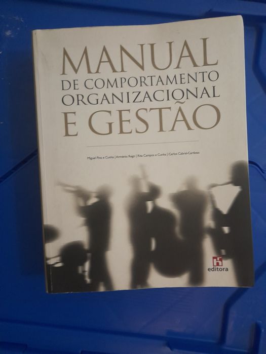 Manual de Comportamento Organizacional e Gestão