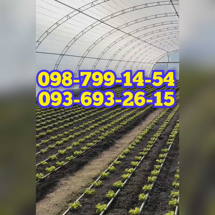 Капельна стрічка/капельная лента/полив/телична плівка/капля/плівка