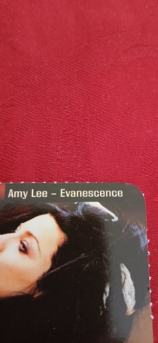 Calendário Amy Lee - Evanescence