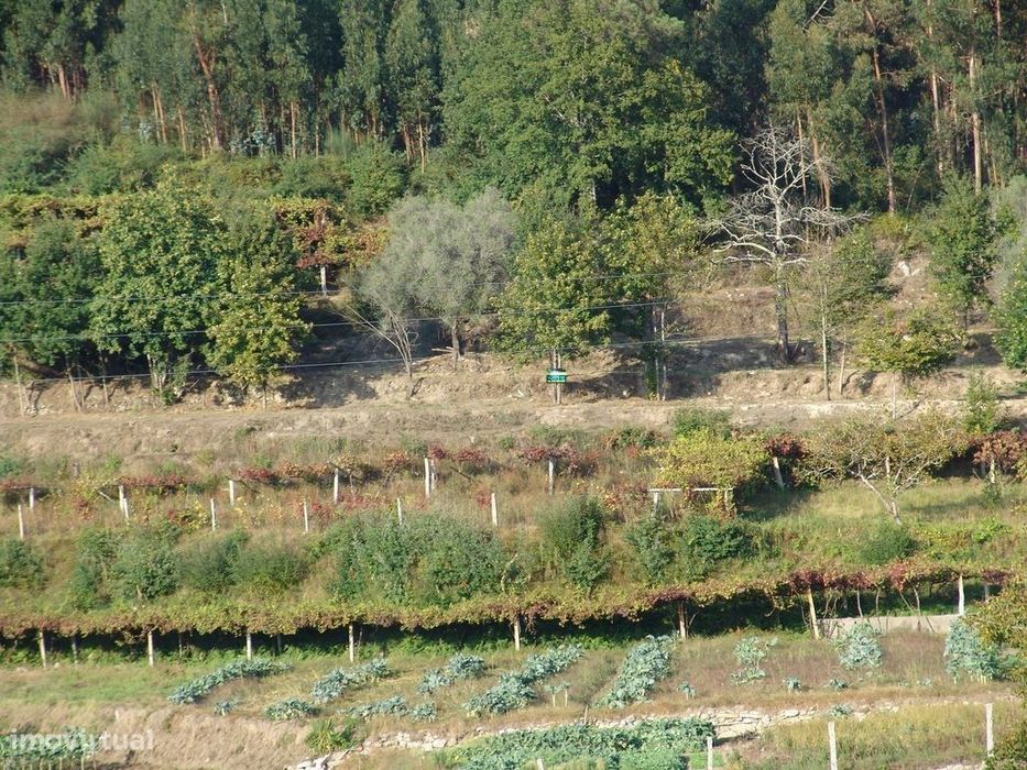 Terreno em Refóios do Lima- Ponte de Lima. — Refóios do Lima, Viana do Castelo