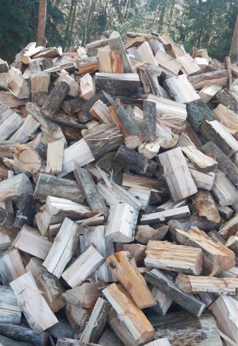 Suche Drewno kominkowe galeziówka tani transport