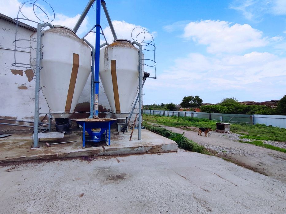 Продаж Діючої Свиноферми!