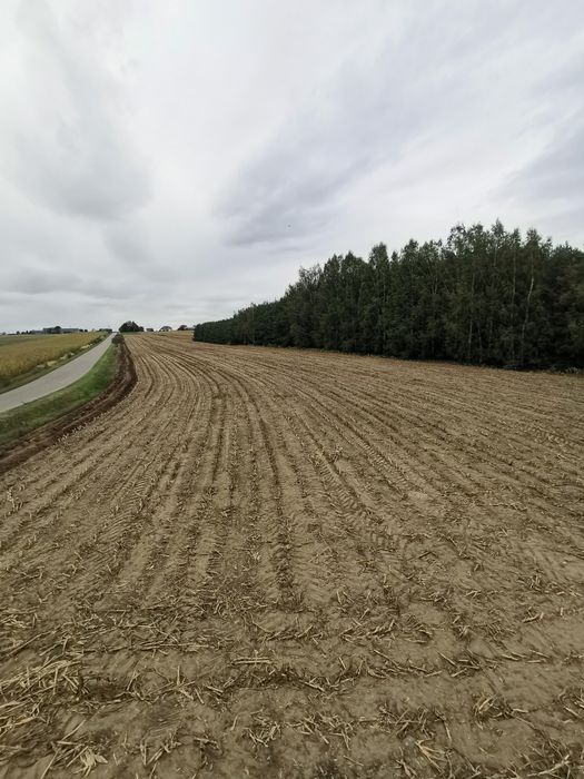 Działka budowlana 348/5 Bryszki gm. Rozprza warunki zabud. wo