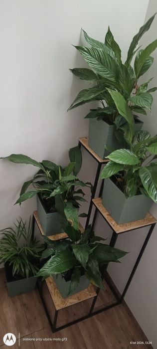 Kwietnik w stylu loft